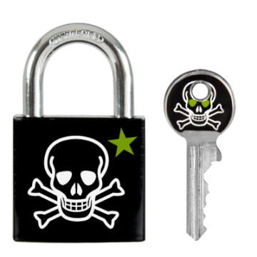 Master Lock 3430EURDSKULL